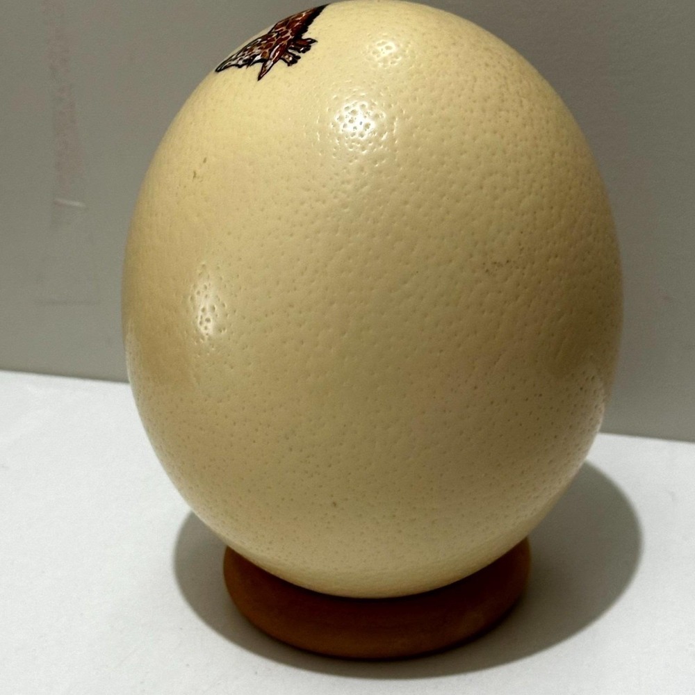 Hand-Painted Ostrich Egg Art "Giraffe and Foal" by Monica Wilson – South Africa - Picture 9 of 10